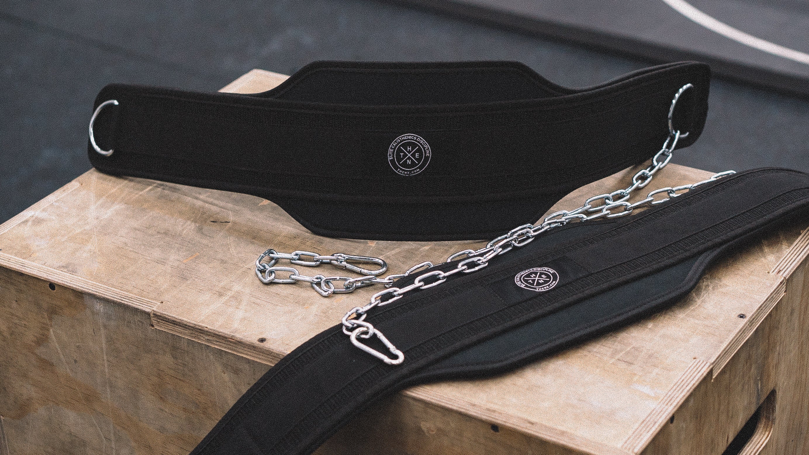 Thenx Weight Belt - Image 5